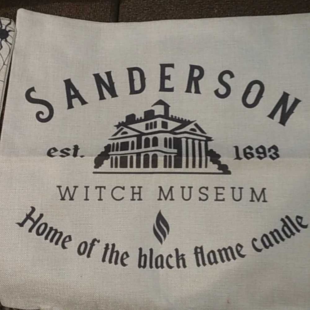 Halloween pillow covers 4 Sanderson  sisters